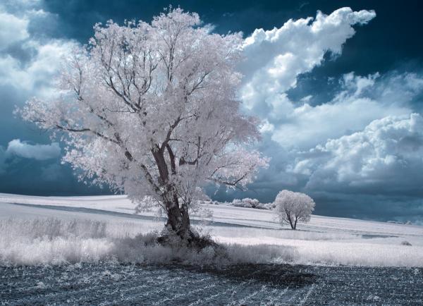 ir poland_by_Przemysław Kruk