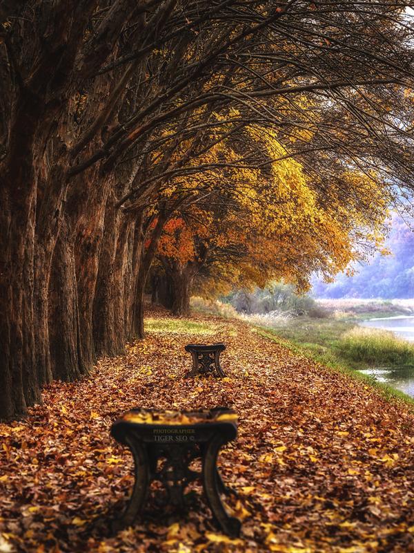late Autumn #2 by Tiger Seo