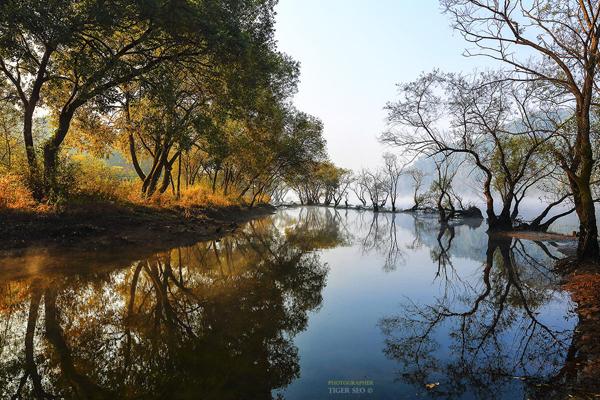 lohas road by Tiger Seo