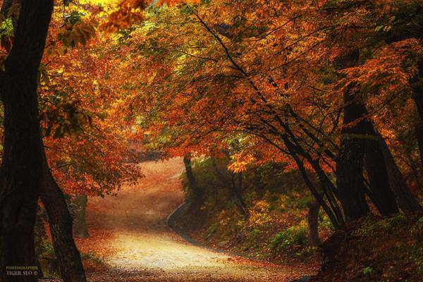 one way to the temple by Tiger Seo