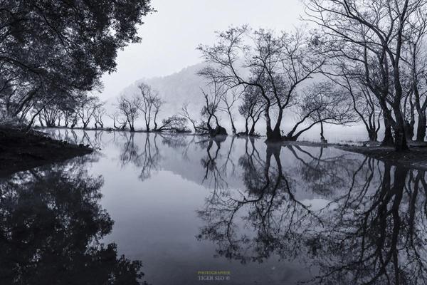 reflection by Tiger Seo