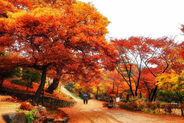 soul mate by Tiger Seo