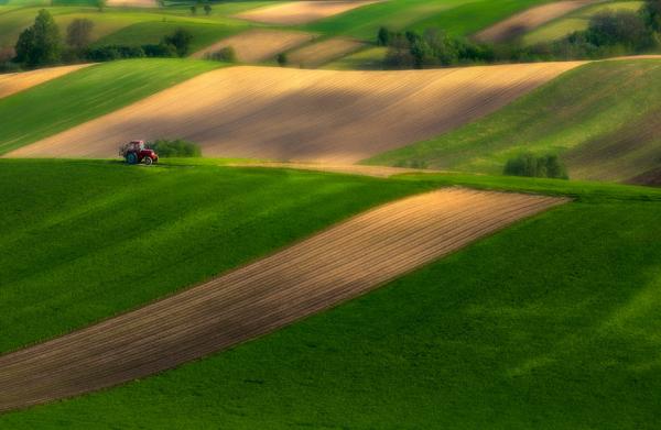 tractor_by_Przemysław Kruk