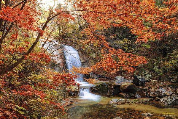 waterfall in Autumn #2 by Tiger Seo