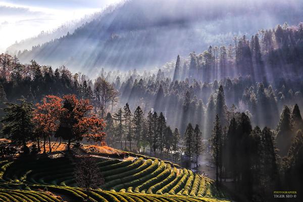 wonderful morning by Tiger Seo