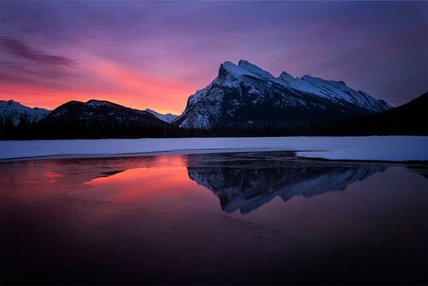 Melted-Dreams-by-Doug-Solis.jpg