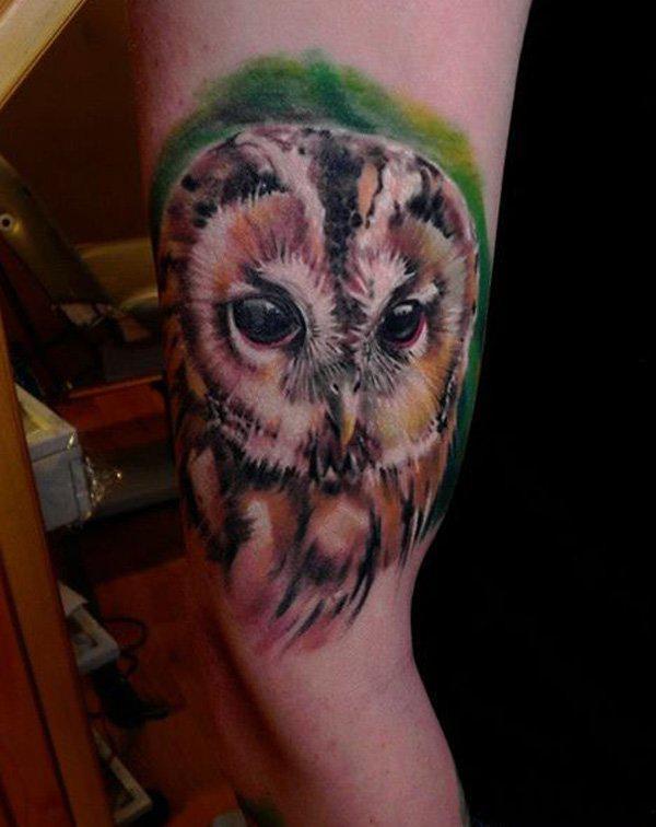 Owl Tattoo - 55 ảnh vui nhộn Owl xăm <3 <3