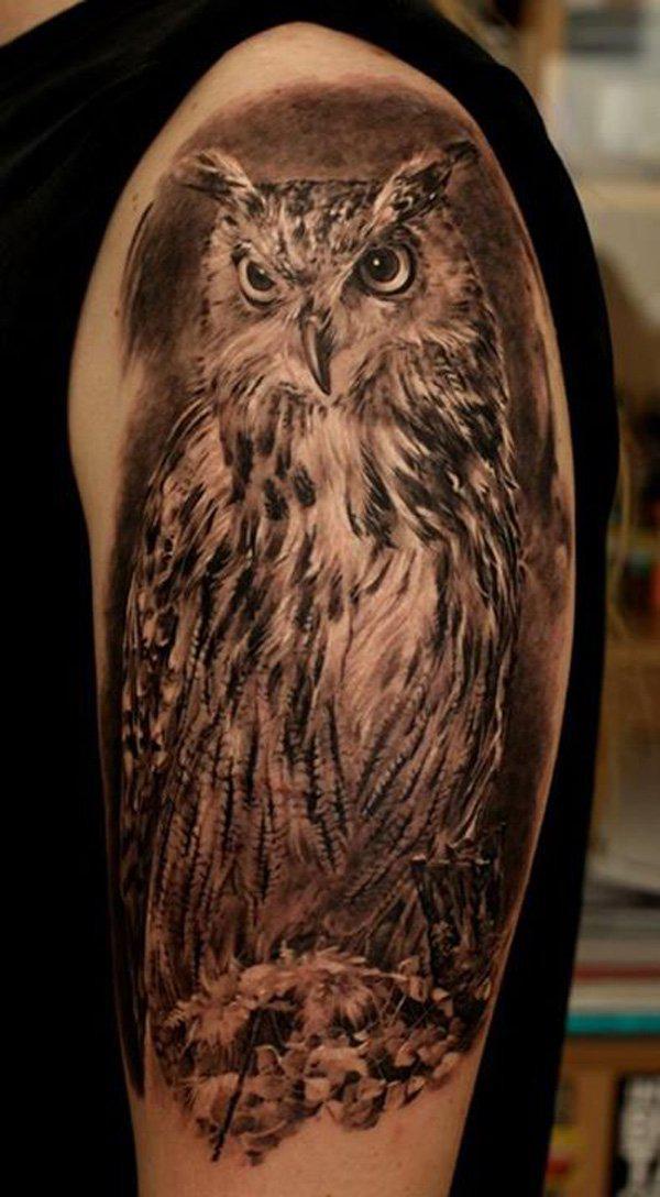 Owl Tattoo - 55 ảnh vui nhộn Owl xăm <3 <3