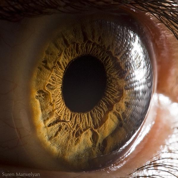 30 Your beautiful eyes by Suren-Manvelyan