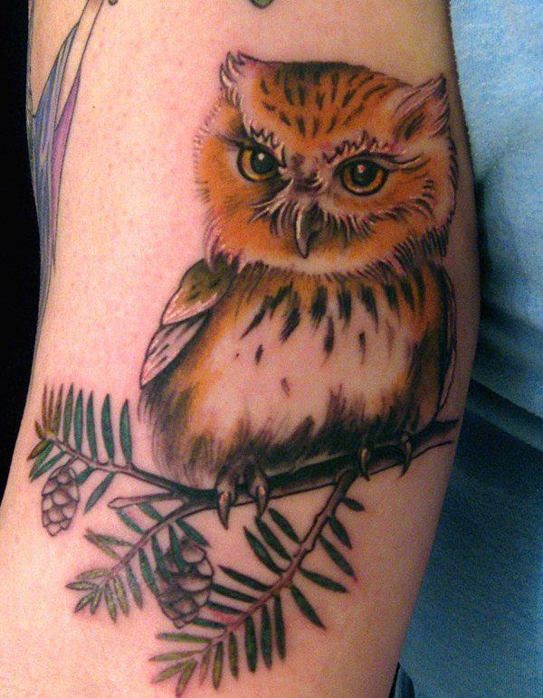 Owl Tattoo - 55 ảnh vui nhộn Owl xăm <3 <3