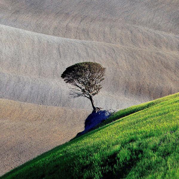 43 Sony-world-photography-awards-2013-11