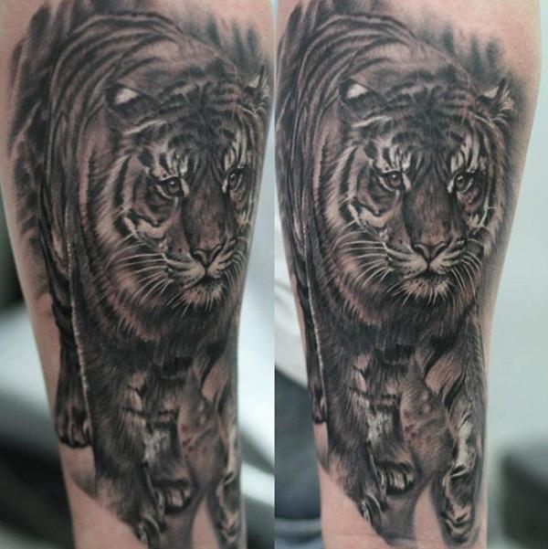 Tiger Tattoo - 55 ảnh vui nhộn Tiger Tattoo Designs <3 <3