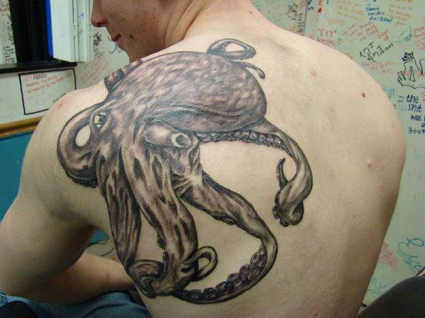 Trở lại hình xăm con bạch tuộc lớn - 55 ảnh vui nhộn Octopus Tattoo Designs <3 <3