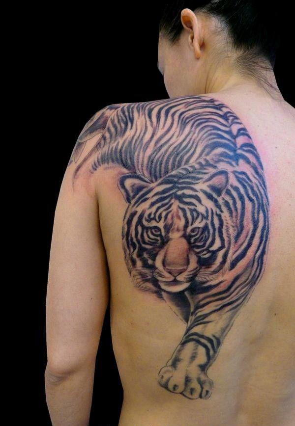 Tiger xăm động vật tưởng - 55 ảnh vui nhộn Tiger Tattoo Designs <3 <3