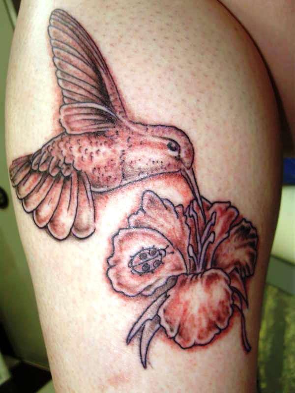 Đen Xám Hummingbird - 55 tuyệt vời Hummingbird Tattoo Designs <3 <3