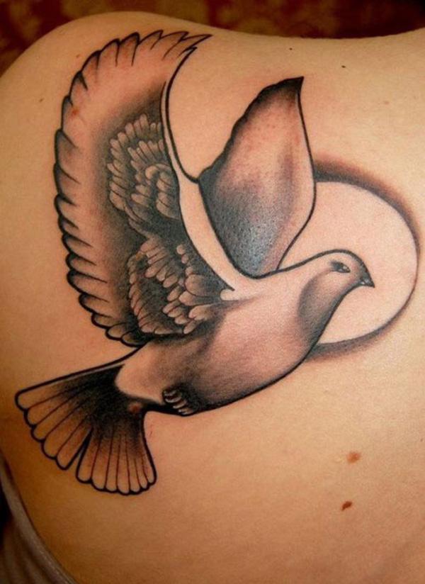 Hình xăm trên lưng chim bồ câu - 55 Peaceful Dove xăm <3 <3