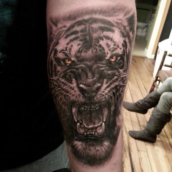 Tiger Tattoo - 55 ảnh vui nhộn Tiger Tattoo Designs <3 <3
