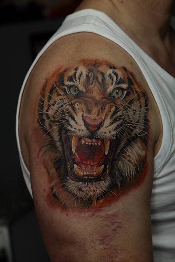Tiger Tattoo - 55 ảnh vui nhộn Tiger Tattoo Designs <3 <3