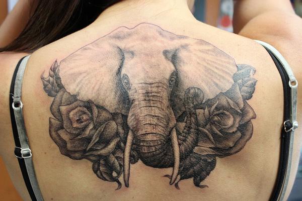 hình xăm con voi - 55 Elephant Tattoo Ý tưởng <3 <3