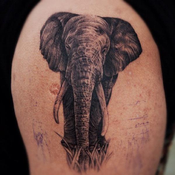 Voi Tattoo - 55 con voi Tattoo Ý tưởng <3 <3