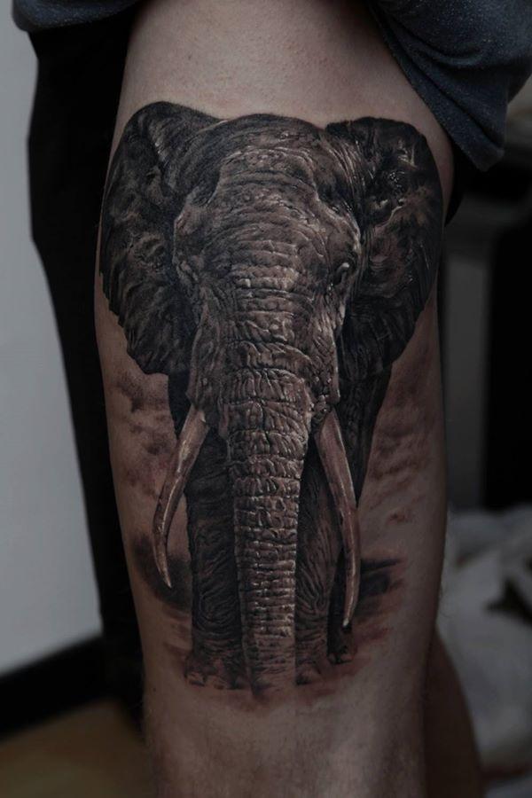 hình xăm voi 3D - 55 Elephant Tattoo Ý tưởng <3 <3