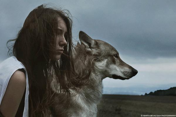 Watch The Maiden And The Wolves Hindi Full Movie Watch The Maiden And The Wolves Hindi Full Movie