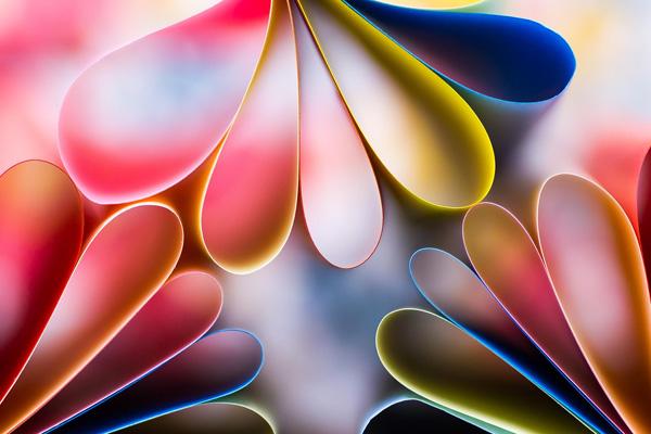 colorful gathring