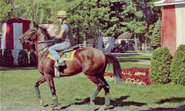 At_the_Ready_in_Saratoga_by_Denis_Peterson at the ready in saratoga
