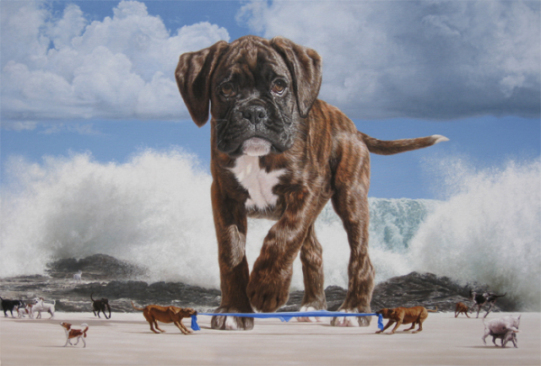 20100714_full_size_1_20090423223223-600x406