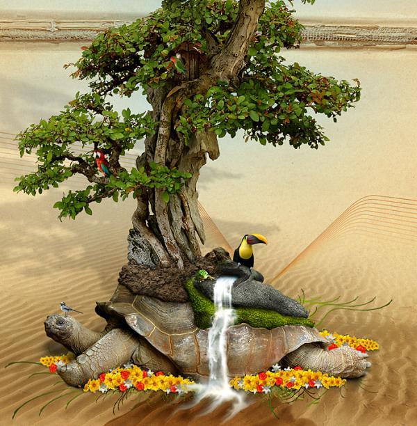 loading a beautiful life