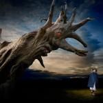 Photography by Ben Goossens