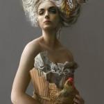 Beautiful illustrations by Marta Dahlig