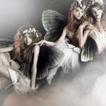 A story of fairies