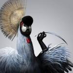 Illustrations by Antoine Helbert