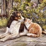 Paintings by Shirley Deaville