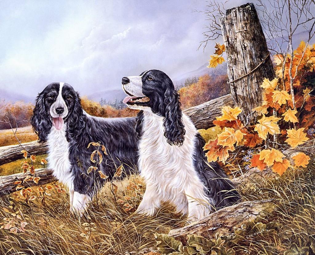 Paintings by Shirley Deaville Art and Design