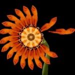 Nature Fused with Humans