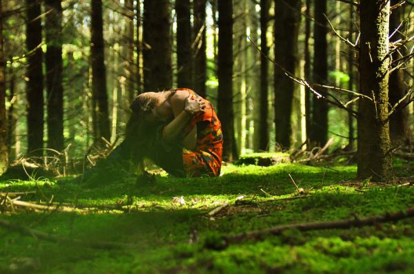 absorb_the_forest600_398