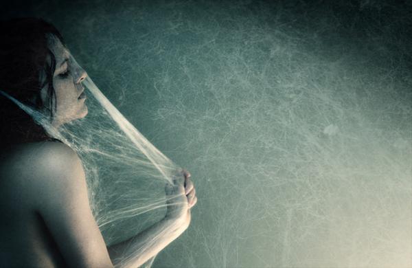 cocoon600_390