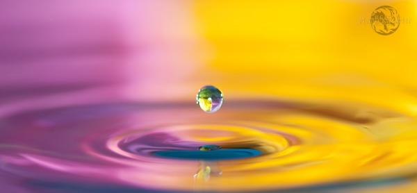 color_convergence600_278