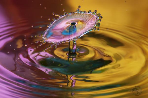 color_drop_series_10600_398