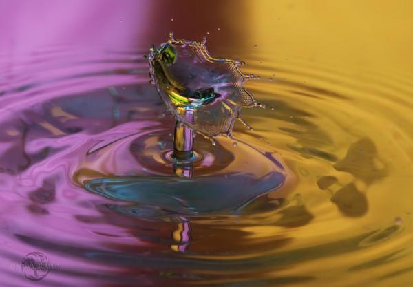 color_drop_series_16600_417