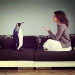 Creative Photo Retouch by Anja