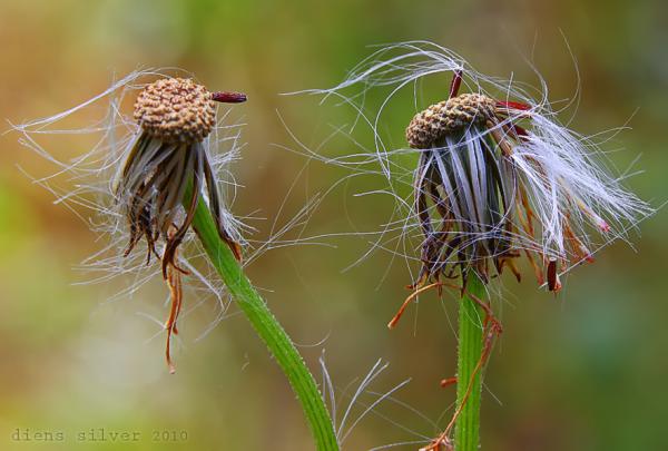 from_heart_to_heart600_405