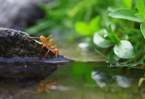 in_the_mirror600_409