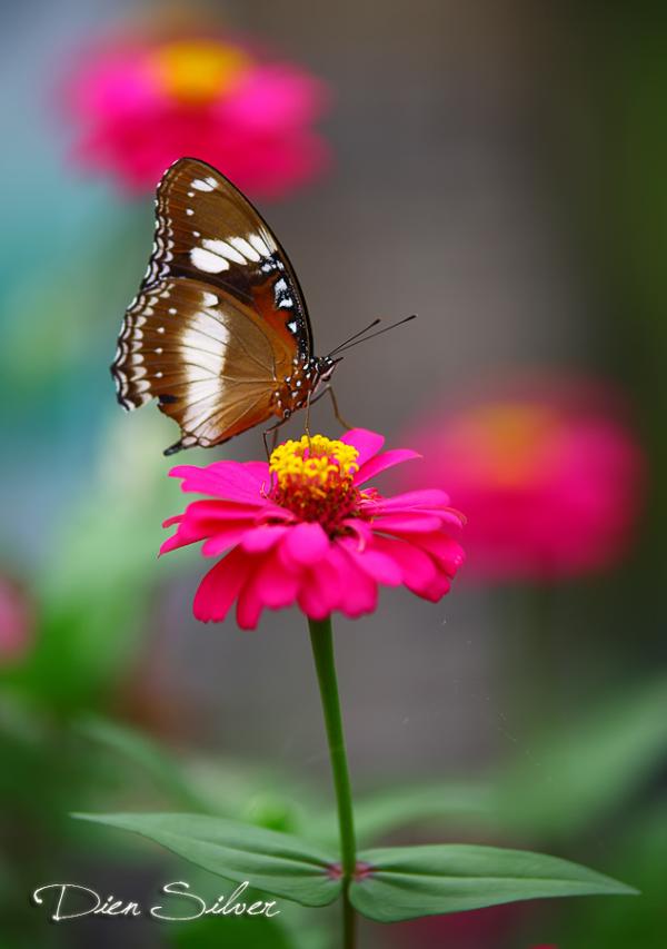 keep_the_beauty_inside600_853