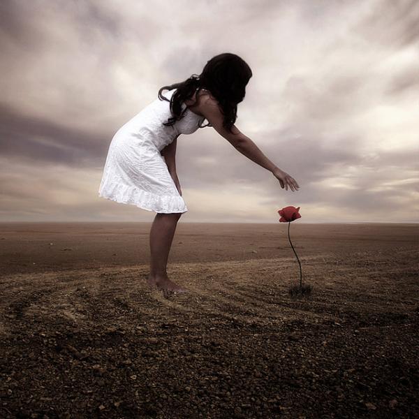 lonely_beauty600_600