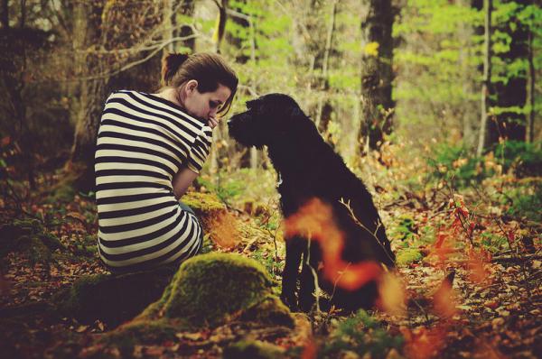 long_gone_light600_398