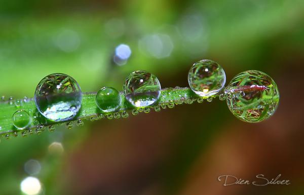 must_you_go_away600_386