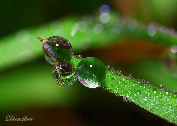 nice_to_meet_you_again600_427